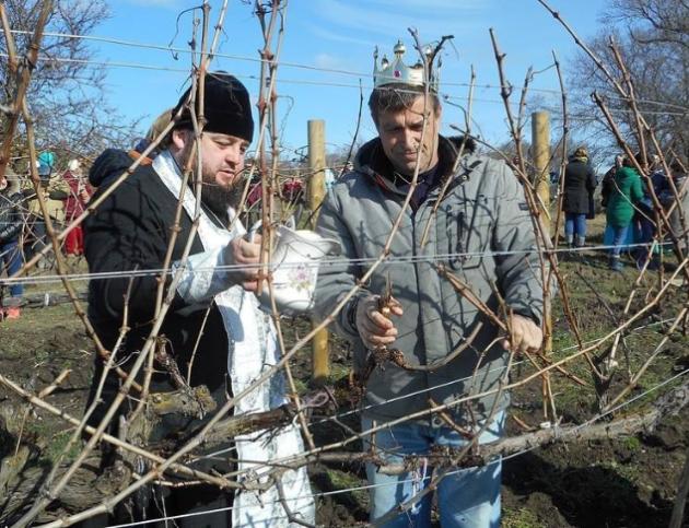 Праздник виноградарей «Трифон Зарезан» в «Золотой Балке» - Новости Шампанерии «Золотая Балка»
